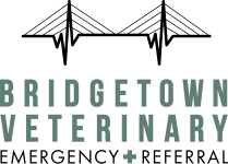 logo-vet-bridgetown