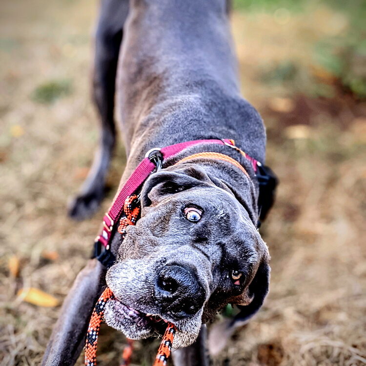 abbie5_2