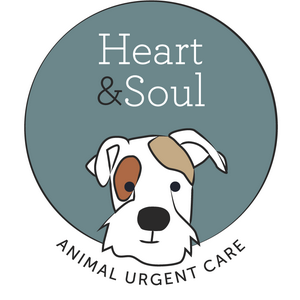 logo-vet-heart-soul